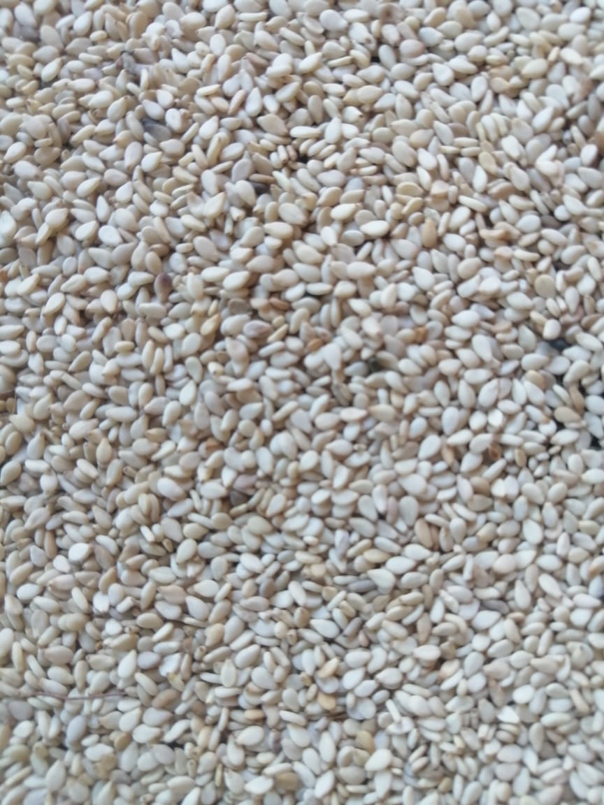 Sesame Seeds
